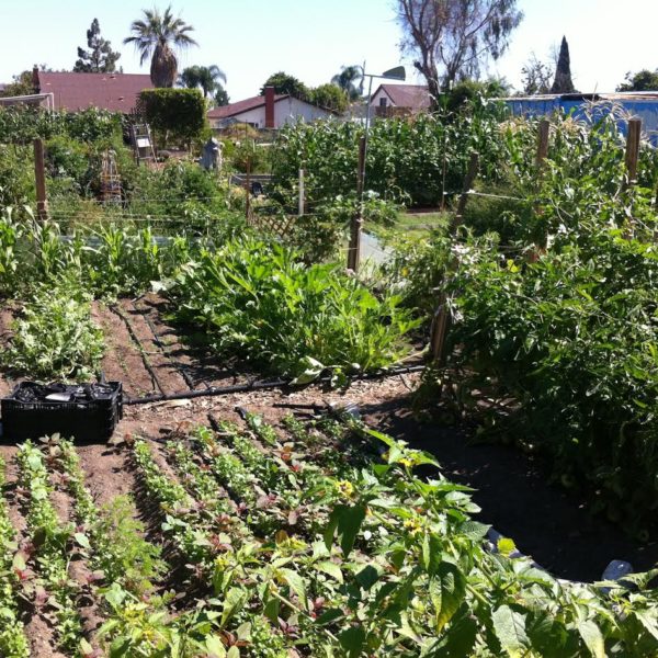 Garden Overall