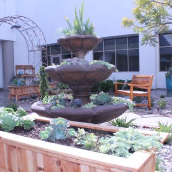 Scripps Hospital Garden