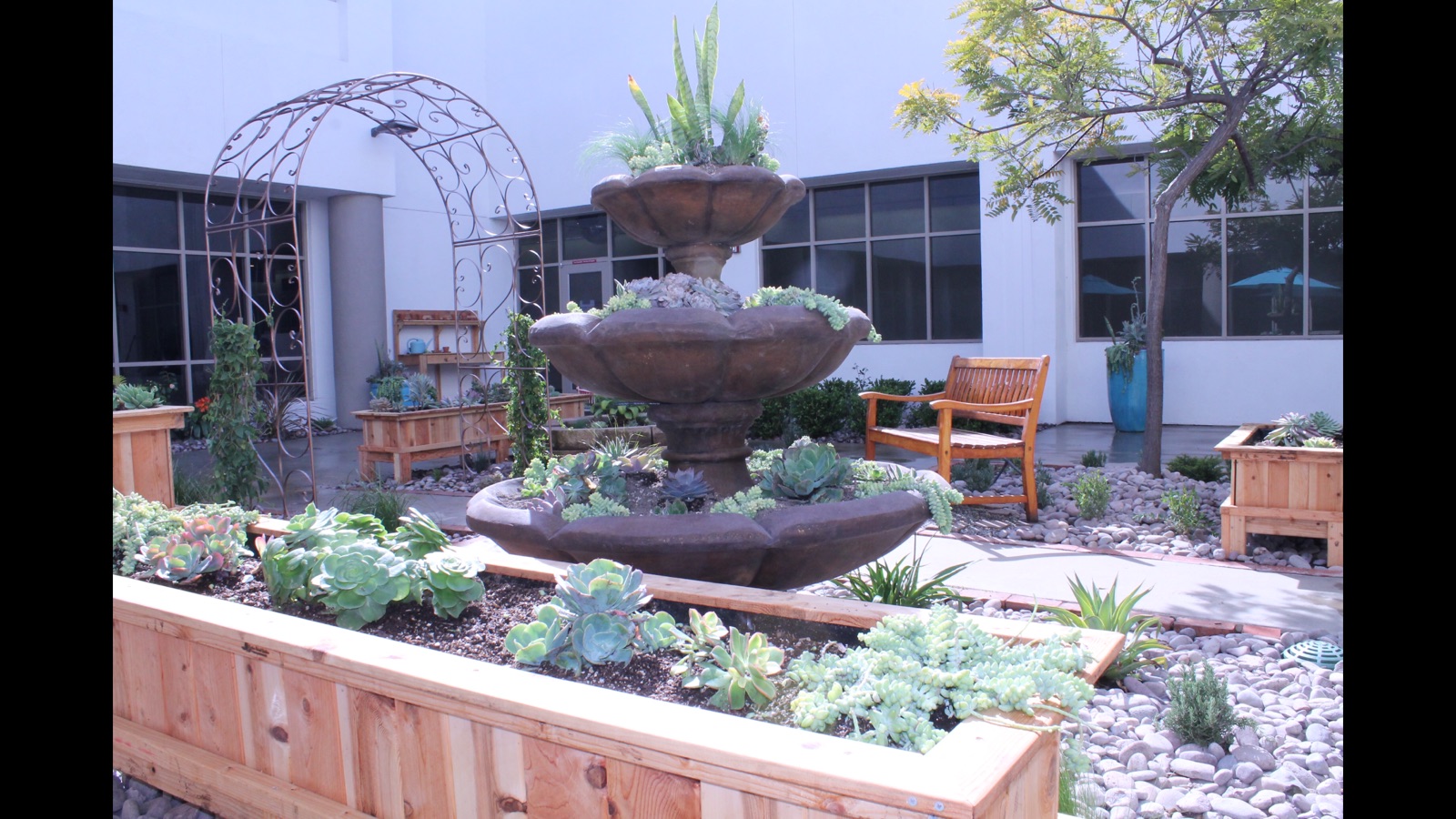 Scripps Hospital Garden