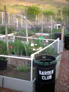 Oceana Garden club