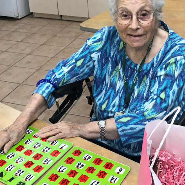 Vista Village senior