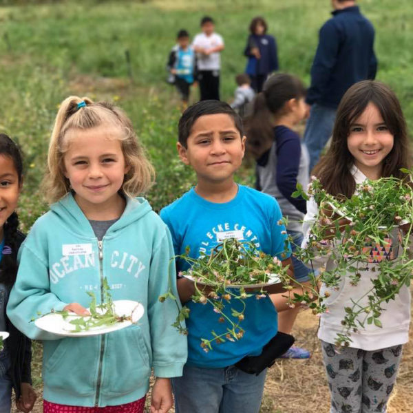 farm lab kids