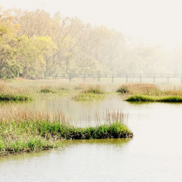 Agua Hedionda Marshland