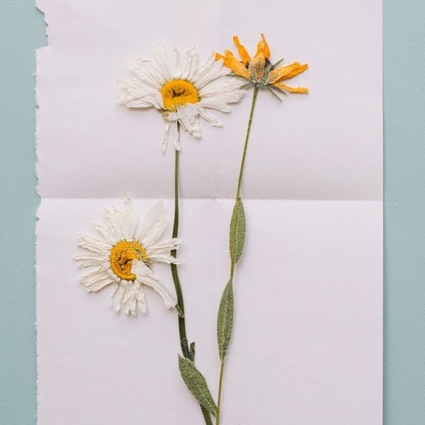 Homemade Card