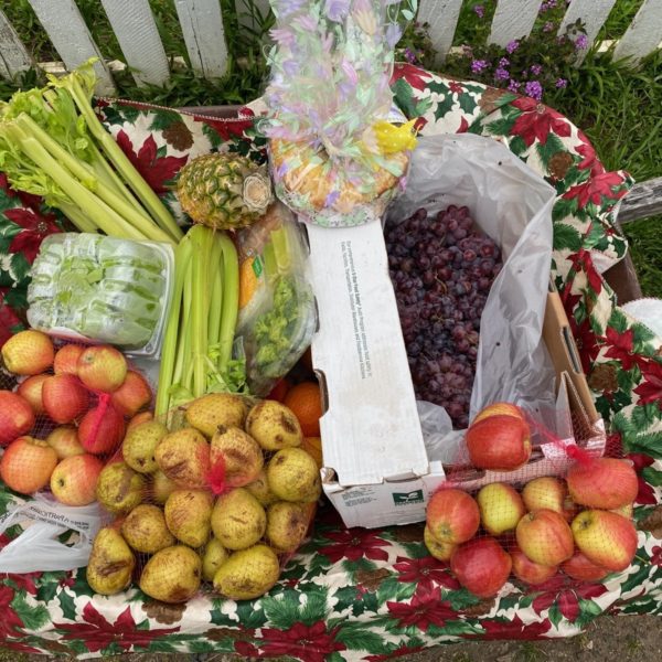 PV food basket