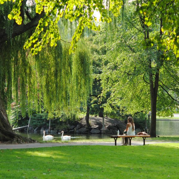 Park bench and lake