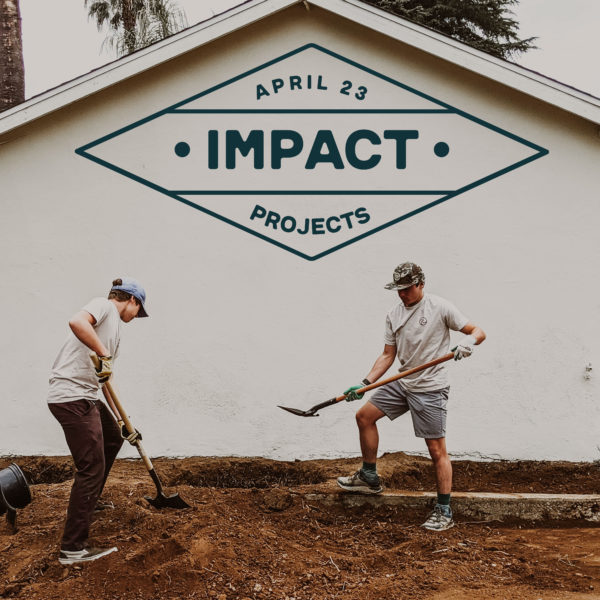 Impact Projects
