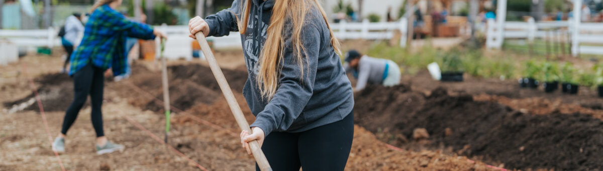 Mulch or gardening