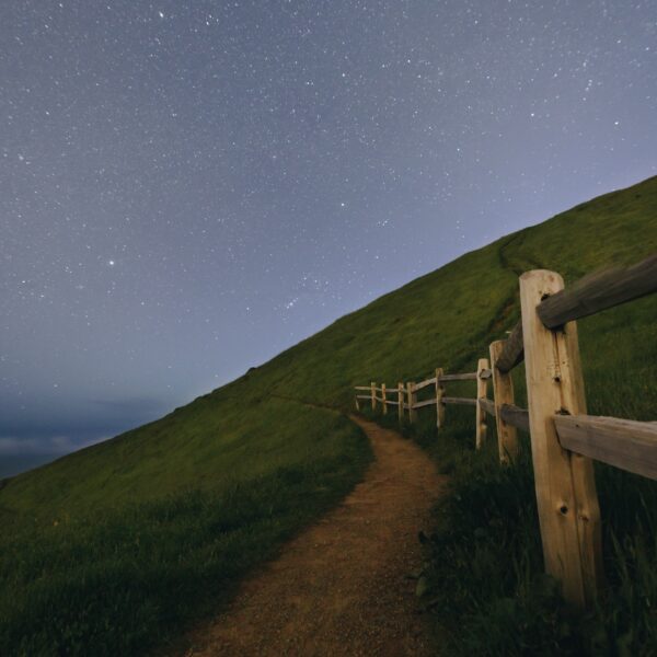 Stars in the Sky