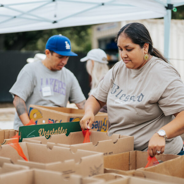 produce, pack food boxes, food pantry